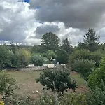 El Pecu Starfamiliar