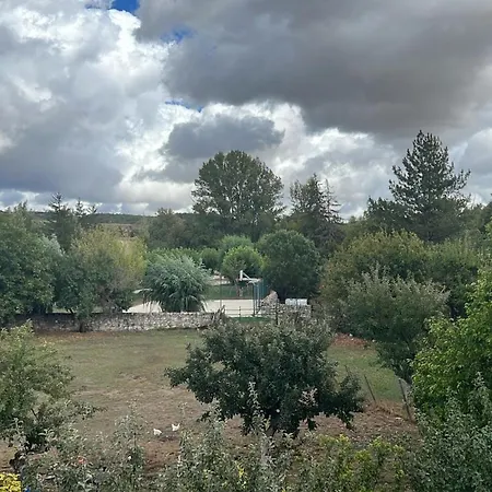 El Pecu Starfamiliar