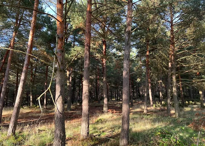 El Pecu Starfamiliar Villa *